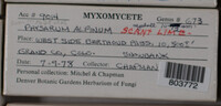 Image Associated With the Occurence